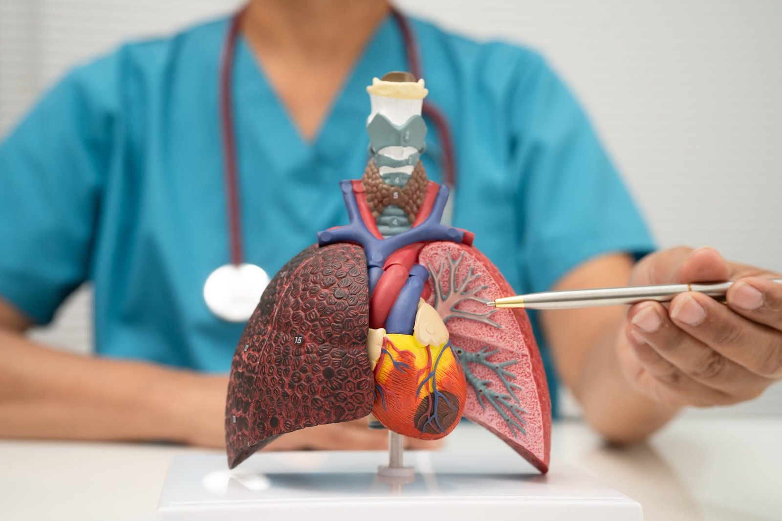 Internal Medicine